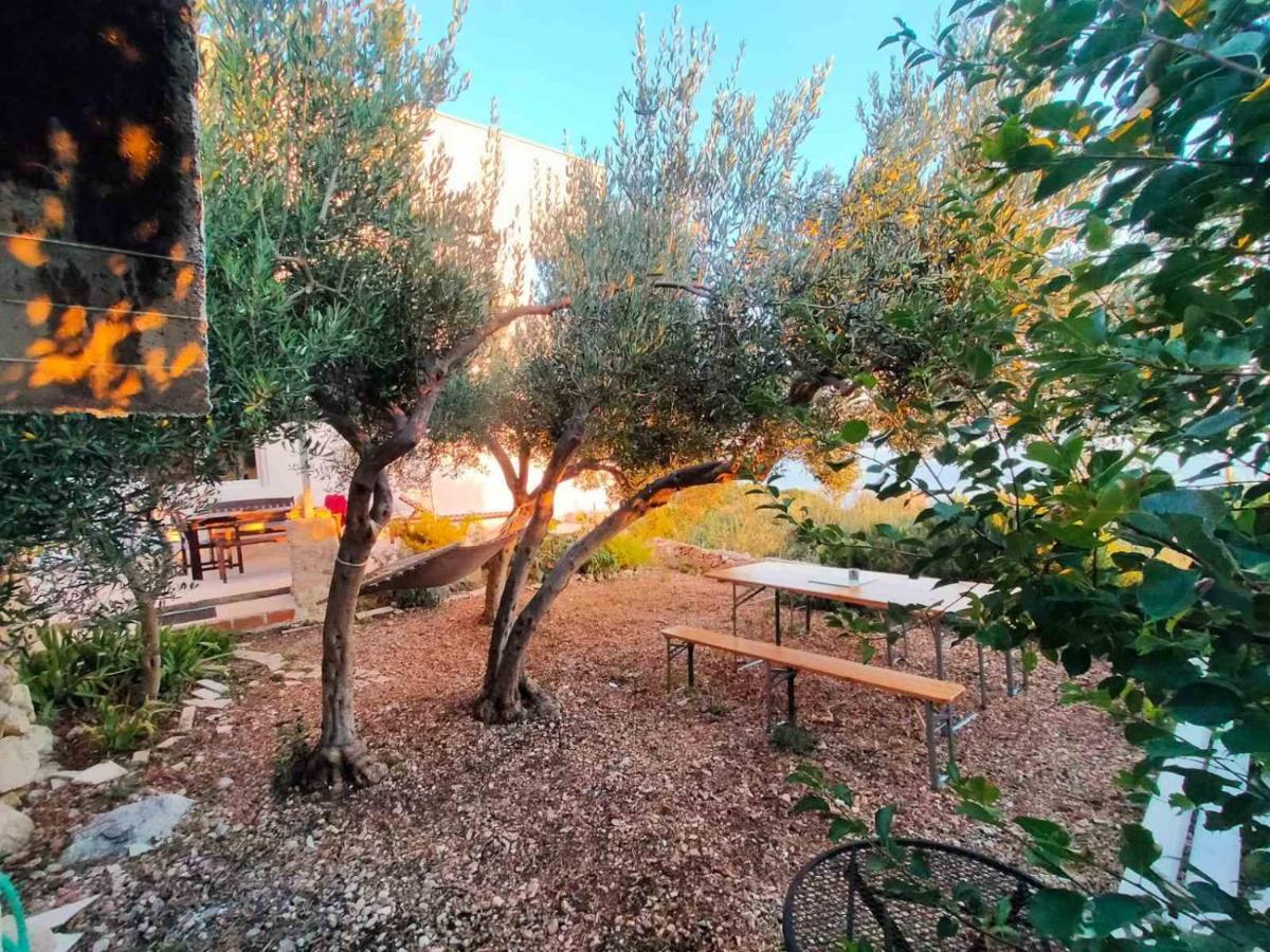 Apartment Croatia Art 德朗西斯 外观 照片