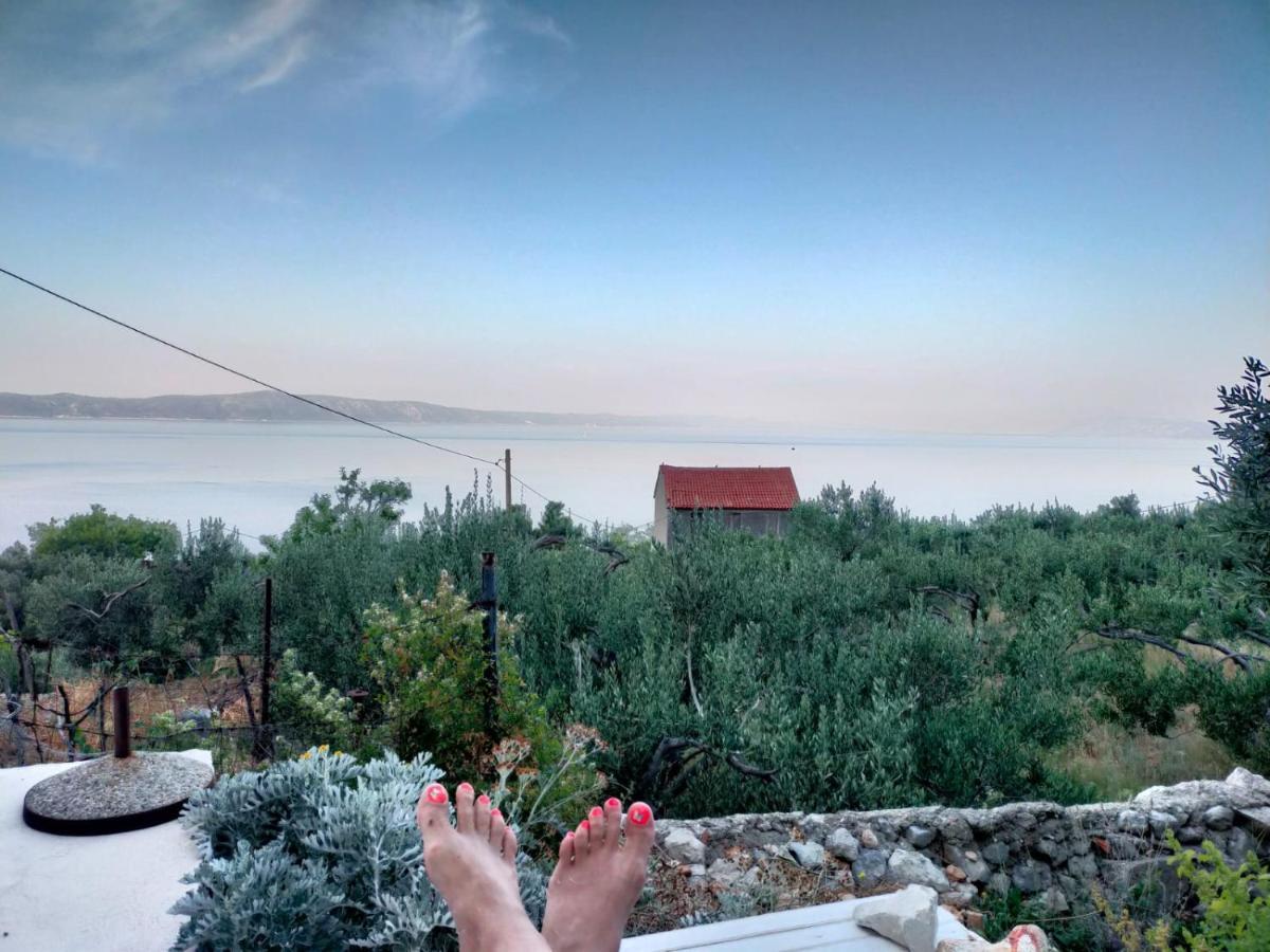 Apartment Croatia Art 德朗西斯 外观 照片