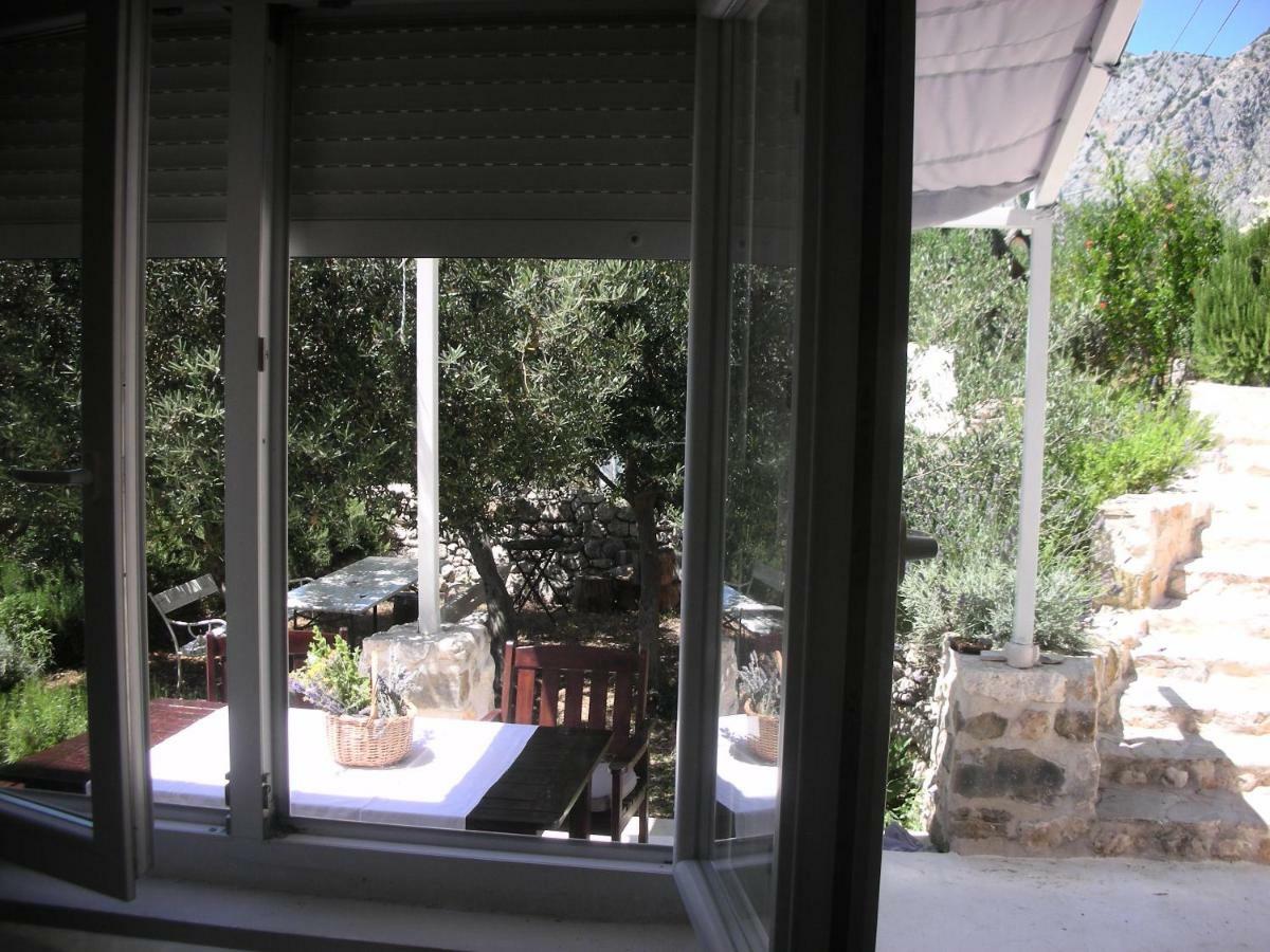 Apartment Croatia Art 德朗西斯 外观 照片
