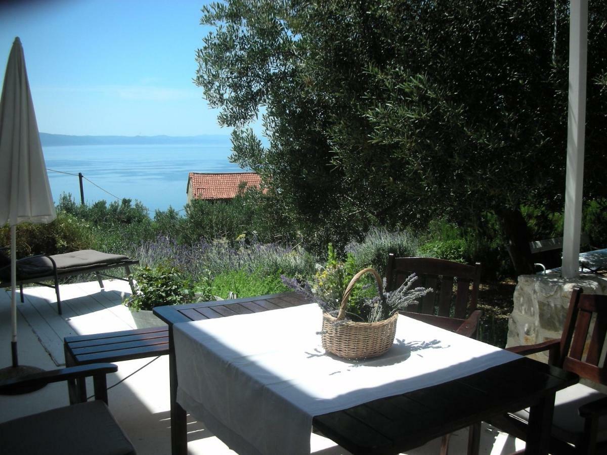 Apartment Croatia Art 德朗西斯 外观 照片